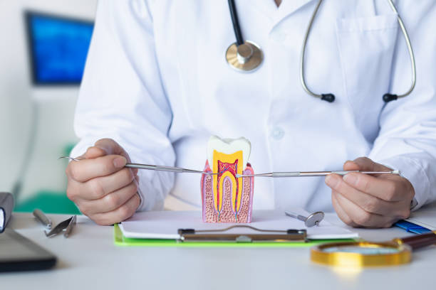 Best Urgent Dental Care  in Cobb Island, MD